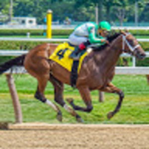 Meet your Posher, Emma